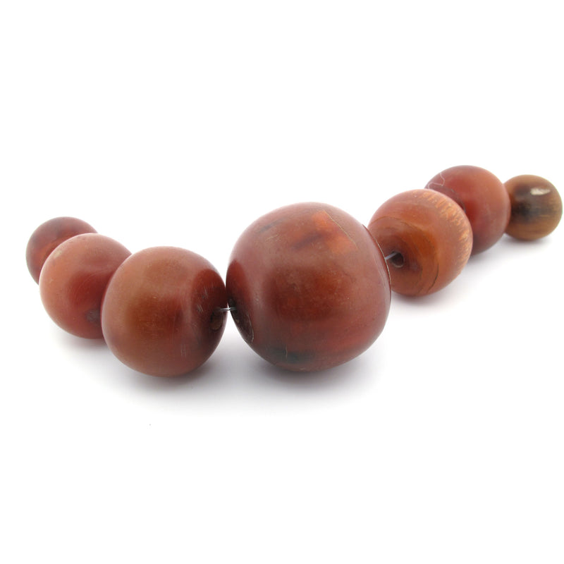 Vintage horn trade beads from West Africa.  Graduated strand of 7. 16 to 29mm. b3-ho28a