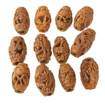 Carved Fruit Pit Hedaio Bead, with birds and landscapes. Chinese. Pkg 1. b7-wo357