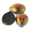 Czech marea finish 2-hole scarab. 28 x 22 mm. Pkg of 1.