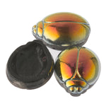 Czech marea finish 2-hole scarab. 28 x 22 mm. Pkg of 1.