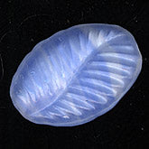 Vintage pressed glass leaf bead. 10x15mm. Pkg of 4. b11-bl-0971