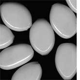 Vintage Japanese White Flat Oval Glass Bead. approx. 9 x 12mm, Pkg of 10.