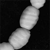 Vintage Japanese White Spiral Oval Glass Beads. Approx. 8x6 mm, Pkg of 6. 