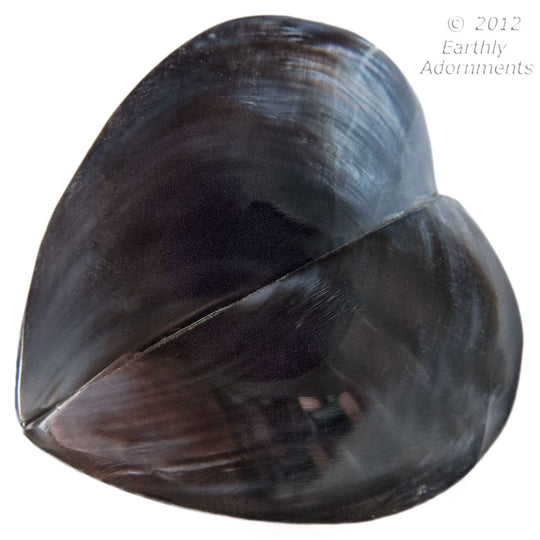 Vintage violet oyster shell heart beads. Approximately 35x27mm. 2 pcs. B15-she311