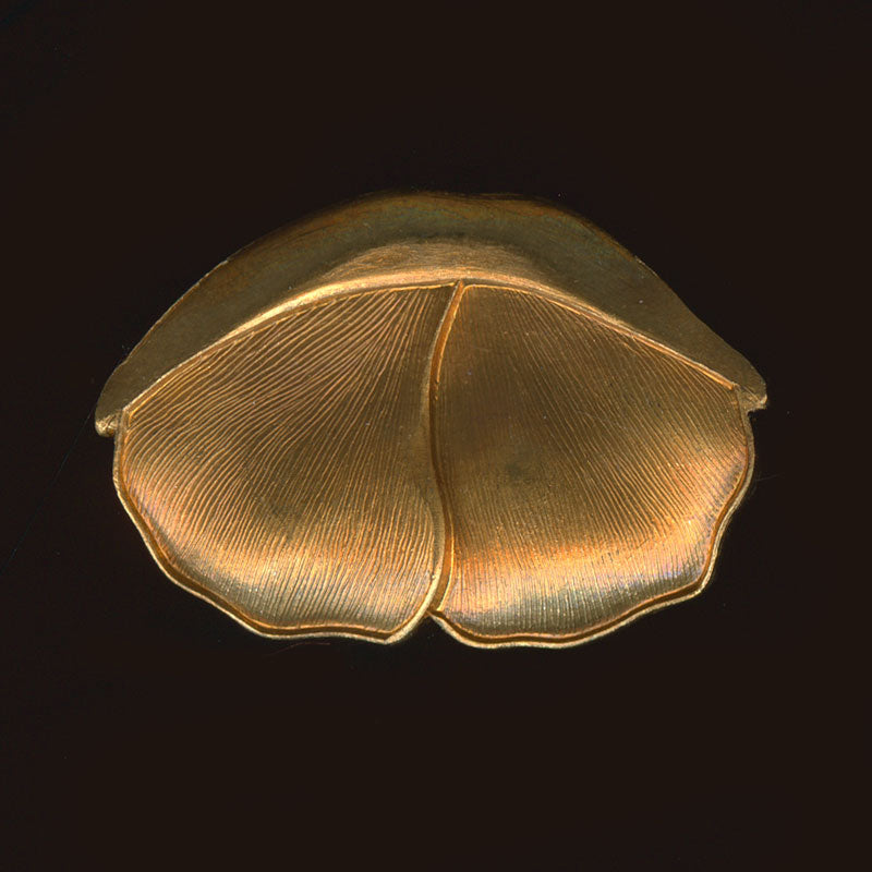Vintage stamped brass petals, designers warehouse, 24x17mm Pkg of 4.