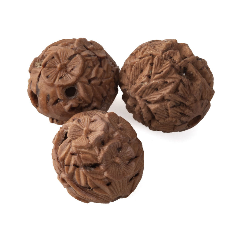 Vintage Chinese carved nut beads. Intricate detail of foliage and hidden creature.  14-15mm. 1 pc.