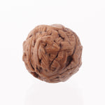 Vintage Chinese carved nut beads. Intricate detail of foliage and hidden creature.  14-15mm. 1 pc. 