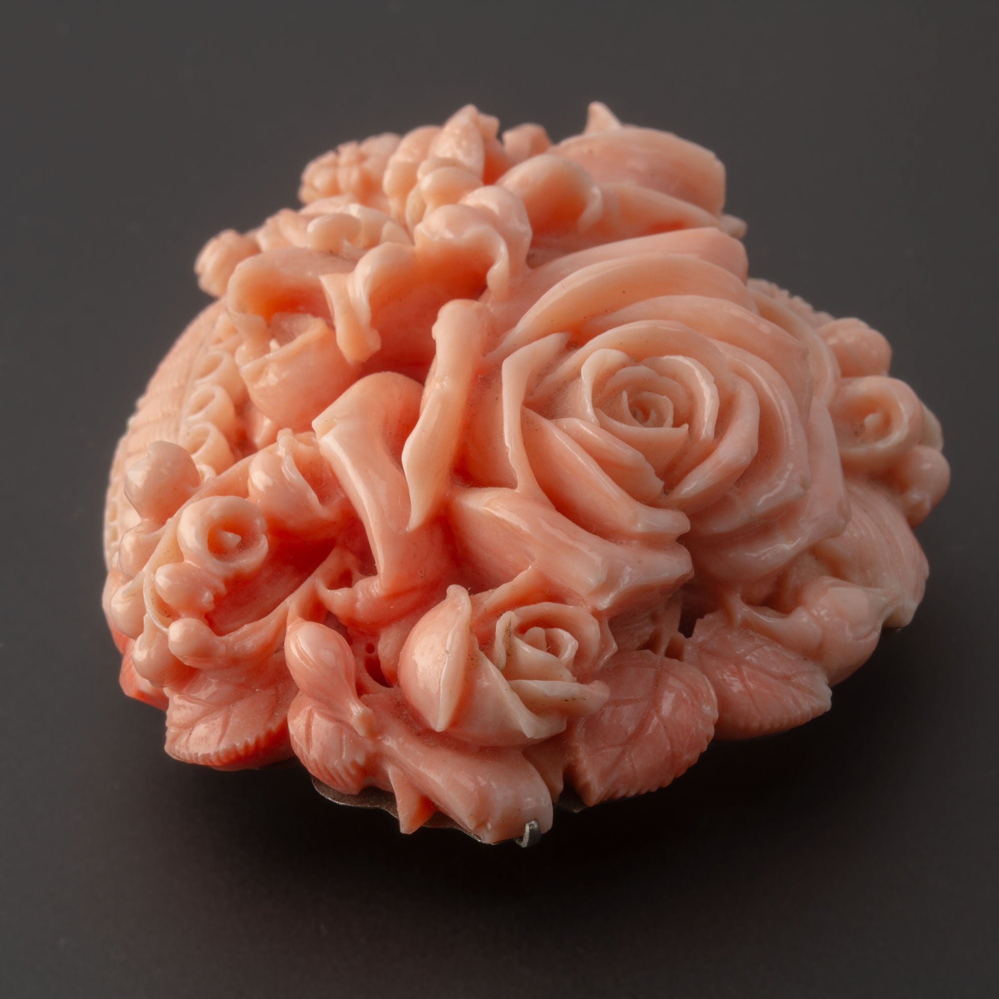 Couleur Corail : Palette et Significations Couleur Corail : Palette et Significations