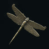 Oxidized solid brass Dragonfly  stamped pendant. 50mm wingspan, 44mm long. 2 ring.  Pkg1.